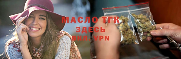 дмт Каменка