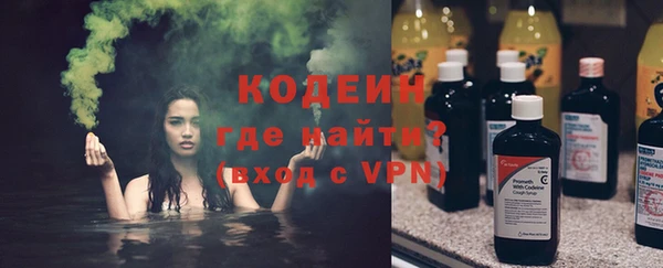 мдпв Инта