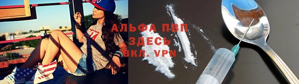 прущая мука Инсар