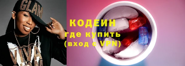 сатива Иннополис
