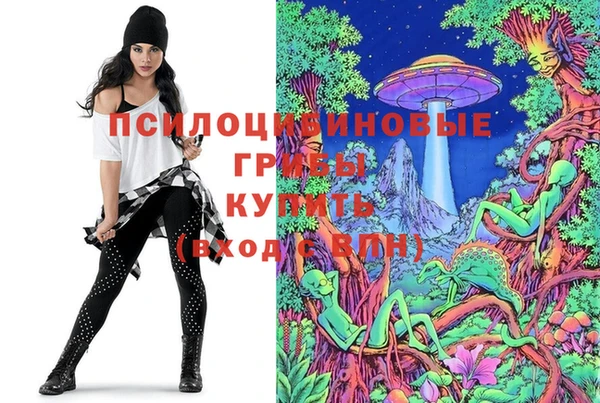 МДМА Каменногорск