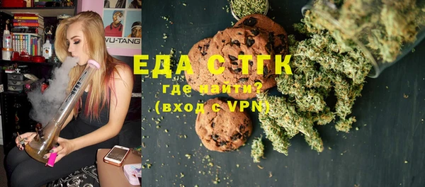 мдпв Инта