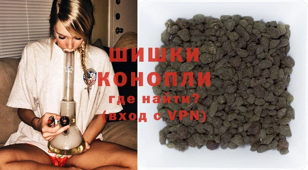 дмт Каменка