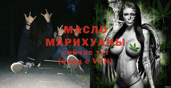 дмт Каменка