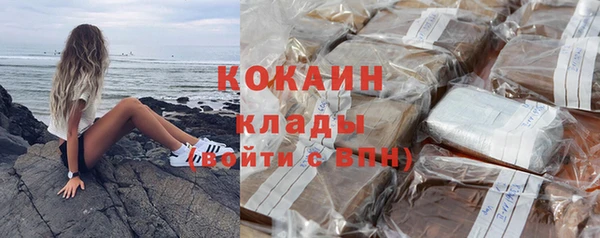 мдпв Инта