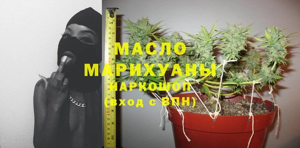 сатива Иннополис