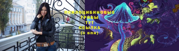 Альфа ПВП Зерноград