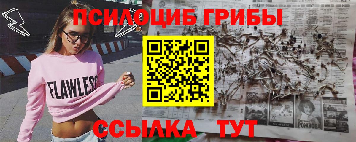 Галлюциногенные грибы мицелий Сосновый Бор