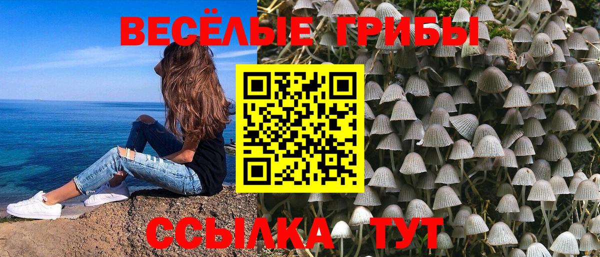 Галлюциногенные грибы Magic Shrooms  Сосновый Бор 