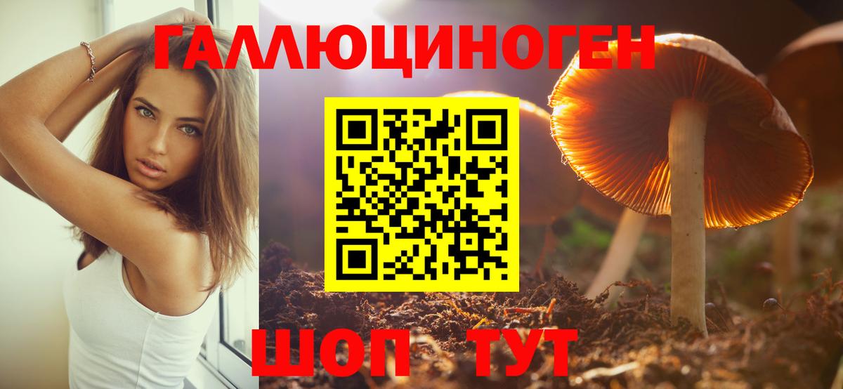 что такое наркотик  Псилоцибиновые грибы мухоморы  Сосновый Бор  Вход с VPN  Псилоцибиновые грибы мицелий 