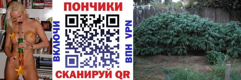 Каннабис Bruce Banner  Сосновый Бор 