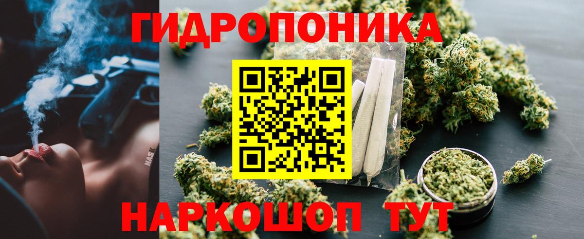 Шишки марихуана AK-47 Сосновый Бор